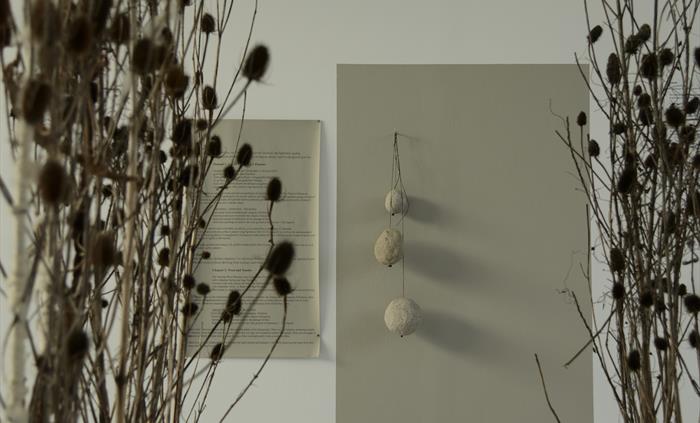 A view through a tunnel of teasels to a square, grey panel with fired spherical ceramics made from Welsh clay.
